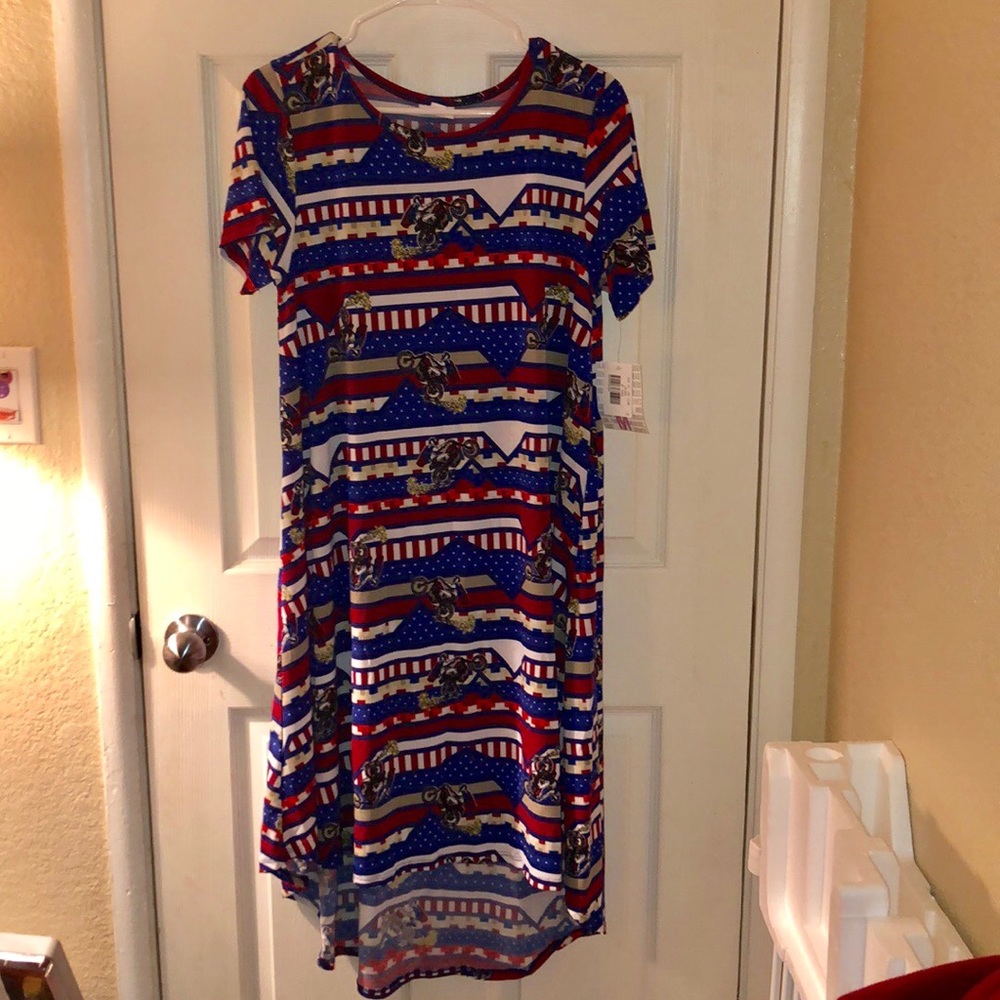 Medium NWT Lularoe Carly dress